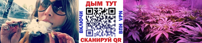 цены   Казань  Бошки Шишки White Widow 